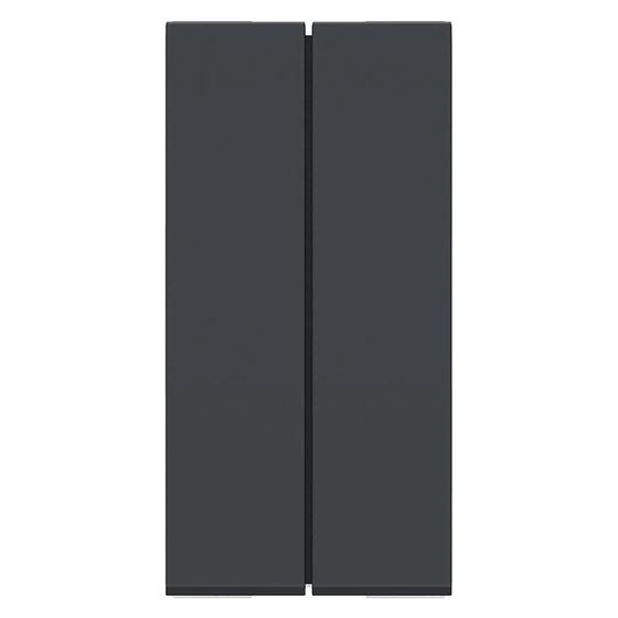 Imagem de Modulo Interruptor Duplo Simples 10A 250V 2M Orion Schneider