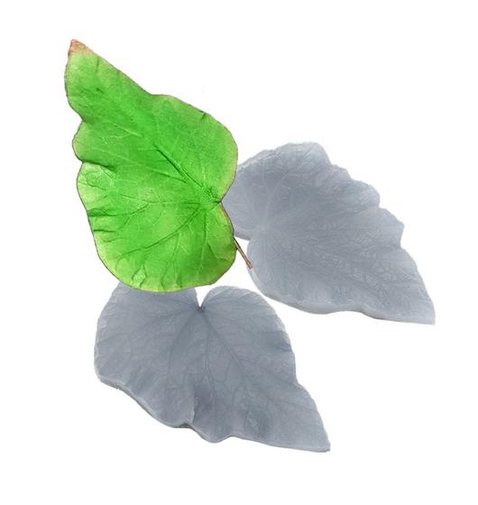 Imagem de Molde De Silicone 036 - Marcador Da Folha Da Begônia - Flor