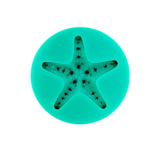 Molde Estrela do Mar Praia Pasta Artesanato Prime Chef Molde e