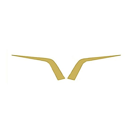 Imagem de Moldura Frontal Grade - Dourado - Par - Para Daf XF