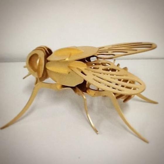 Imagem de Mosca. Quebra Cabeça 3d. Miniatura Em Mdf