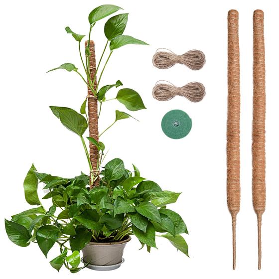 Imagem de Moss Pole Simezos de 30 cm para plantas Monstera com coco Coir, pacote com 2