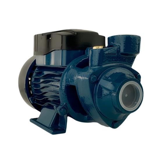 Motobomba d'água periférica 0,5HP BP60 110V - Lepono Menor preço em Motobomba d'água periférica 0,5HP BP60 110V - Lepono