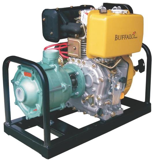 Imagem de Motobomba Diesel 3 Estágios 1.1/2'' 10CV P Elétrica Buffalo