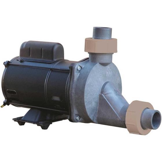 Imagem de Motobomba Hidromassagem Fhg - 0,75cv 127/220v