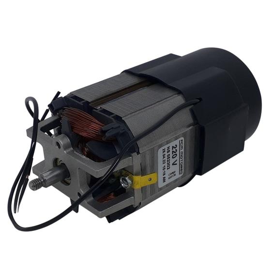 Imagem de Motor 220V Para Liquidificador Skymsen TA02 Id 11775