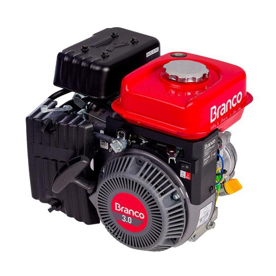 Imagem de Motor branco b4t 3.0 hp part. manual