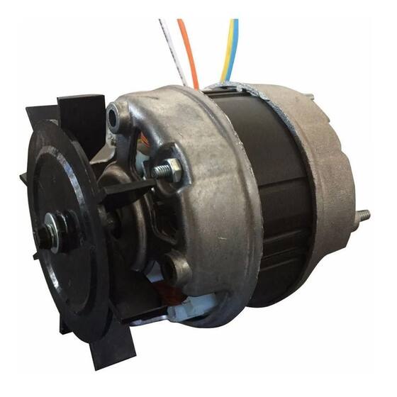 Motor De Churrasqueira Giratória Weg 1/30Cv Bivolt - Issi Grill ...