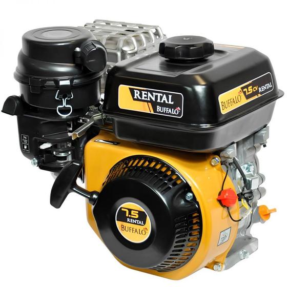 Imagem de Motor Gasolina Buffalo BFG 4T 7,5HP 224cc Rental Part Manual