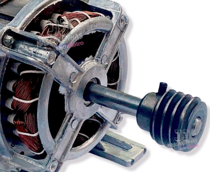 Imagem de Motor reposição Frangueira elétrica com rosca sem fim 1/4cv