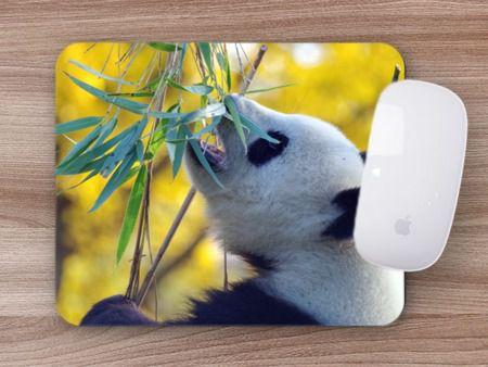 Imagem de Mouse Pad Animais silvestres, Urso Panda