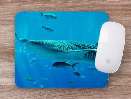 Imagem de Mouse Pad Coleção 7 Mares, Tubarão Baleia Projeto Oceanos