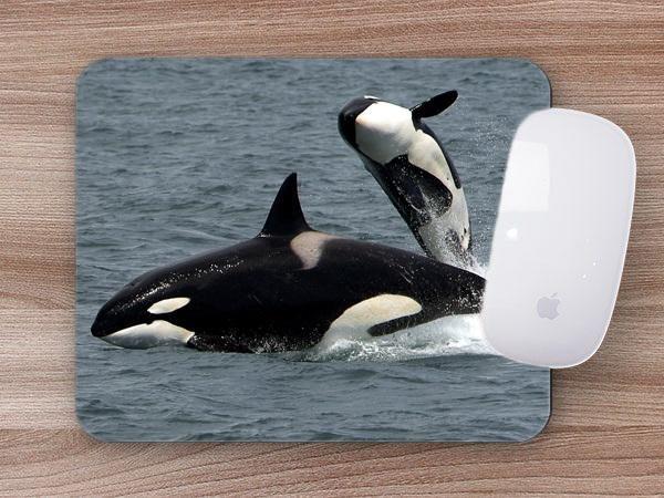 Imagem de Mouse Pad Emborrachado Personalizado Praia Mar Oceano Peixe