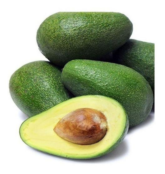 Muda De Abacate Pollock Ou Fucks Enxertada Produz R pido O Legetimo muda-de-abacate-pollock-ou-fucks-enxertada-produz-r-pido-o-legetimo