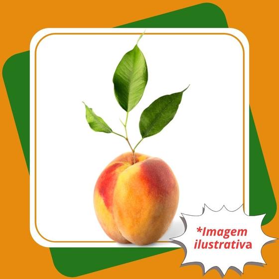 Imagem de Muda de Pêssego Amarelo Solta Caroço Enxertado  Prunus Persica.