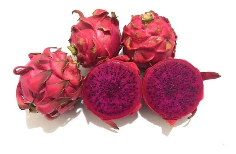 Imagem de Muda De Pitaya Vermelha Da Polpa Vermelha - Produz Rápido