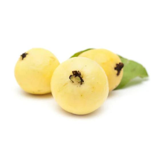 Imagem de Muda Frutífera de Araçá Amarelo