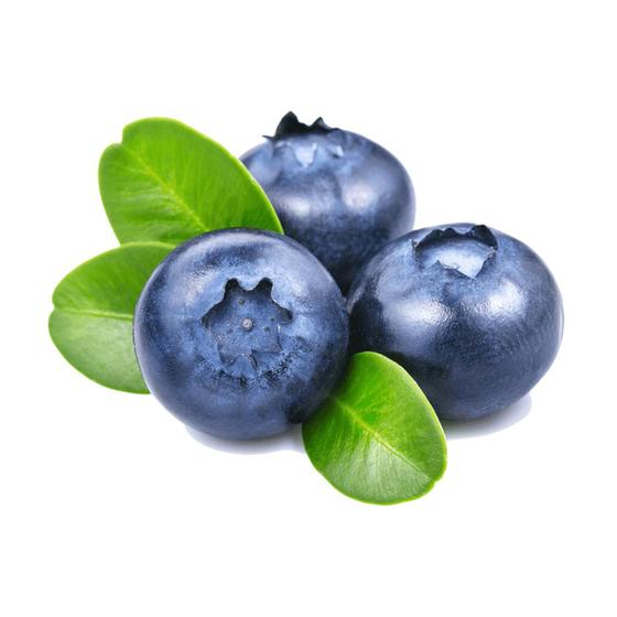Imagem de Muda Frutífera de Mirtilo (Blueberry)