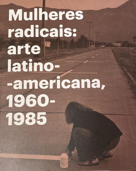 Imagem de Mulheres radicais: arte latino-americana, 1960-1985 - Pinacoteca de São Paulo