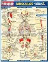 Imagem de Musculos: Origens &amp Insercoes - Resumao