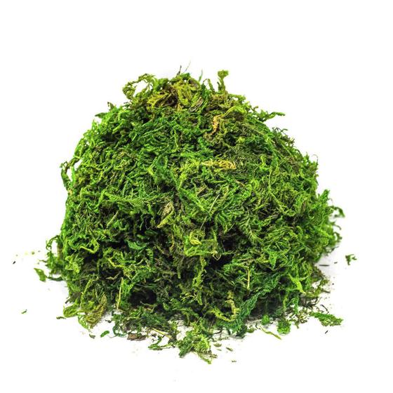 Imagem de Musgo Artificial P/Arranjos E Jardins 2 Litro