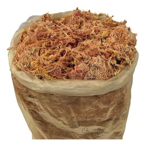 Imagem de Musgo Seco Desidratado Sphagnum Sphagno Saco Grande 80 Litros  Fertilizante Adubo Natural Para Orquídeas Flores Plantas