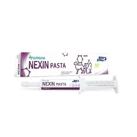 Imagem de Nexin Pasta Seringa - 40 Gr - Mundo Animal