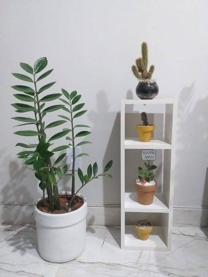 Imagem de Nicho com Divisórias, MDF Branco Suspenso com 50cm - Cozinha, Banheiro, Quarto, Sala, Quarto infantil