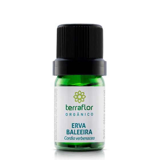 Imagem de Óleo Essencial Erva Baleeira Orgânico Terra Flor 5ml