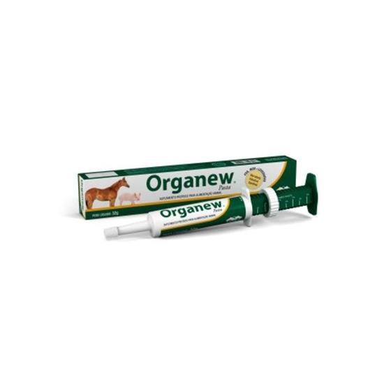 Imagem de Organew Pasta - 32 gr