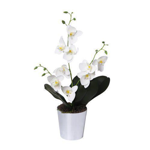 Orquídea Artificial Branco no Vaso de Acrílico - Giuliana Flores - Flores  Artificiais - Magazine Luiza