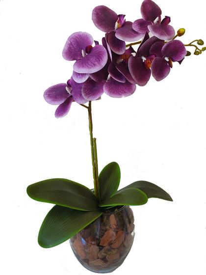 Orquídea Artificial Roxa (arranjo Montado Com Vaso de Vidro Oval) - Game  Gramas - Plantas Artificiais - Magazine Luiza