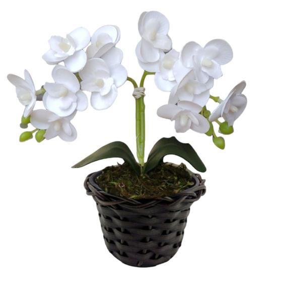 Imagem de Orquídea Miniatura: Beleza Natural Em Versão Artificial