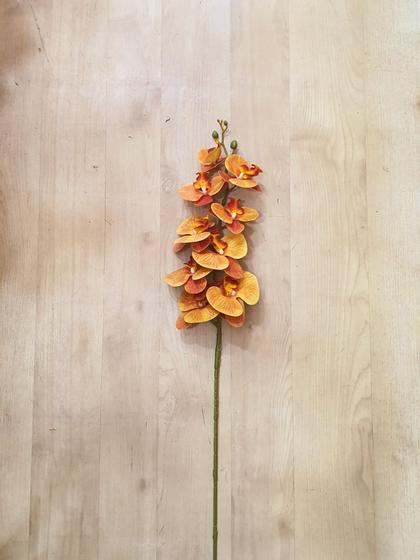 Imagem de Orquídea permanente toque real 