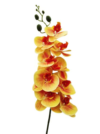 Imagem de Orquídea Phalaenopsis Galho 09 FLores Amarela Toque Real