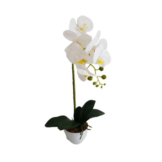 Orquídea Silicone Toque Real Um Galho + Vaso - Livros de Decoração -  Magazine Luiza