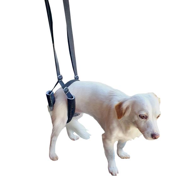 Imagem de Órtese Suporte Quadril Cachorro Pet Regulável Fisioterapia