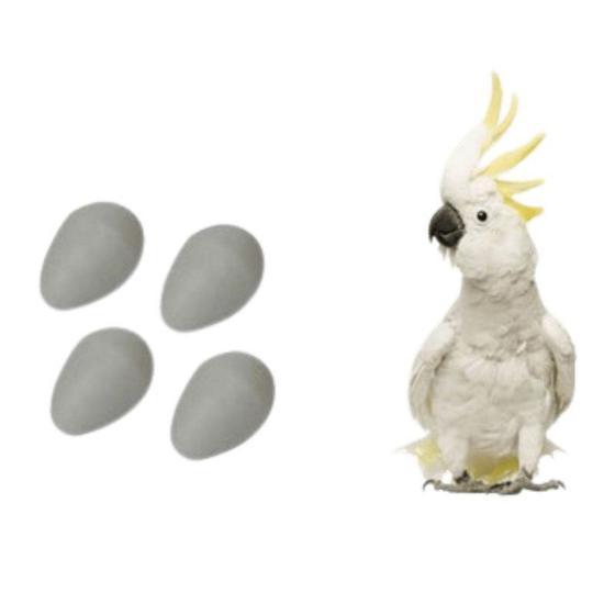 Imagem de Ovo Indez Branco - Para Cacatua - Tamanho Grande - Unidade - Ornamental