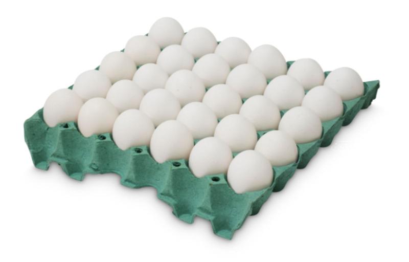 Ovos Extra - Branco 12 cartelas com 30un Menor preço em Ovos Extra - Branco 12 cartelas com 30un