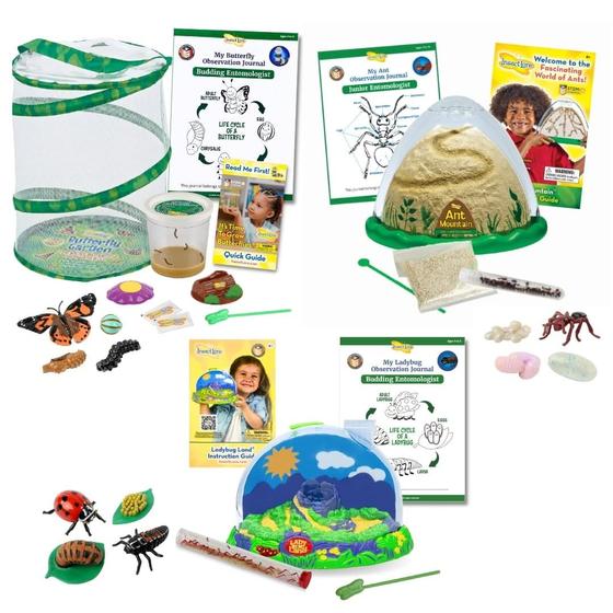 Imagem de Pacote Bug Camp Kit de borboletas Insect Lore com lagartas vivas