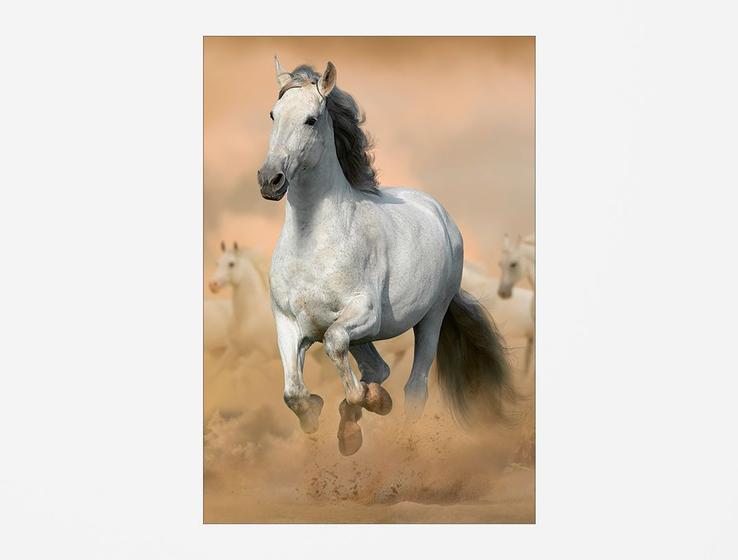 Imagem de Painel De Festa Vertical 1,50 x 2,20 -  Cavalo Branco Na Fazenda 002