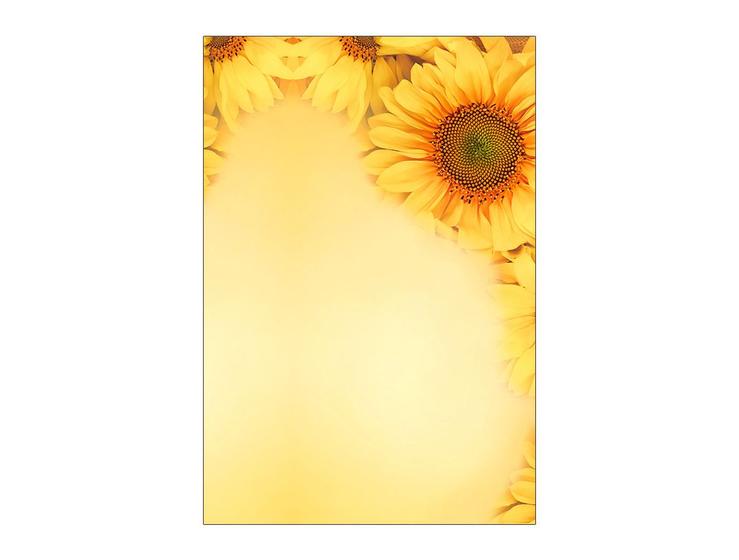 Imagem de Painel De Festa Vertical 1,50 x 2,20 - Flor Girassol 106