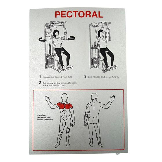 Imagem de Painel Pectoral Technogym - Prata - Cód 892