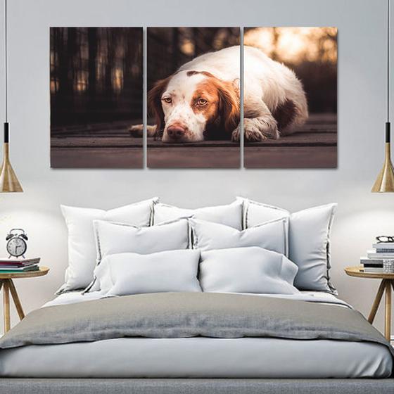 Imagem de Painel quadros mosaico cachorros e gatos(pet) med. 105x65 ps 2mm adesivo fosco borda infinita