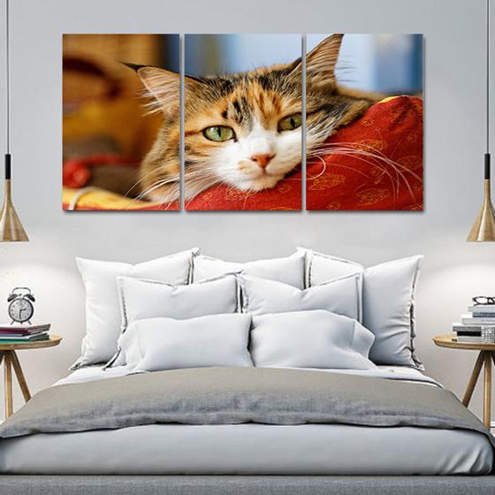 Painel quadros mosaico cachorros e gatos(pet) med. 105x65 ps 2mm adesivo fosco borda infinita - ATITUDE SIGNS Imagem de Painel quadros mosaico cachorros e gatos(pet) med. 105x65 ps 2mm adesivo fosco borda infinita