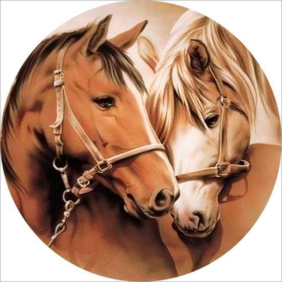 Imagem de Painel Redondo 3D Sublimado Cavalo Country Frd-3328