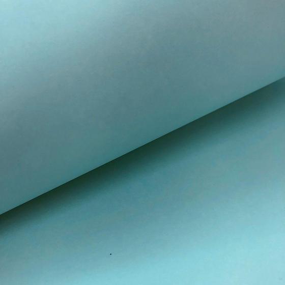 Imagem de Papel Color Plus 180g Ref 84 Mirtilo