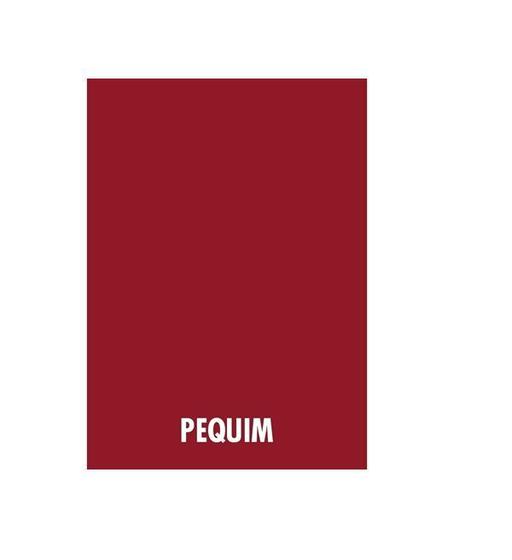 Imagem de Papel Color Plus A4 Vermelho Pequim 180g - 50 folhas