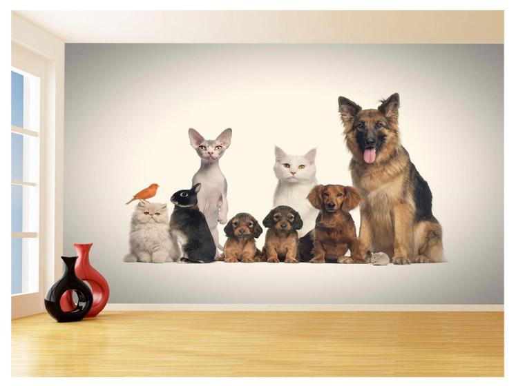 Imagem de Papel De Parede 3D Animais Cão Gato Petshop 3,5M Anm422