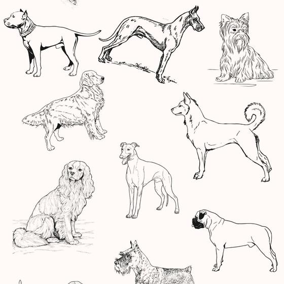 Imagem de Papel De Parede Adesivo Lavável De Petshop Cães Dog Desenho 12m